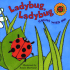 Ladybug, Ladybug: Count With Me