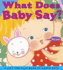 What Does Baby Say? : a Lift-the-Flap Book (Karen Katz Lift-the-Flap Books)