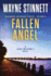 Fallen Angel: a Jesse McDermitt Novel (Caribbean Adventure Series)
