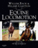 Equine Locomotion, 2e 0