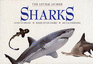 Sharks