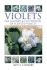 Violets: the History and Cultivation of Scented Violets