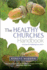 The Healthy Churches' Handbook: a Process for Revitalizing Your Church