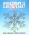 What Shape is a Snow Flake? : Magic Numbers in Nature