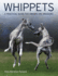 Whippets: A Practical Guide for Owners and Breeders