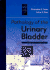 Pathology of the Urinary Bladder: a Volume in the Major Problems in Pathology Series