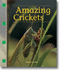 Amazing Crickets (Newbridge Discovery Links)