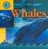 Whales (Dominie Programa Eval Lectura Y Escrit)