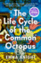 The Life Cycle of the Common Octopus (International Edition)