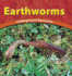 Earthworms: Underground Burrowers (the Wild World of Animals) Richardson, Adele D.