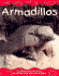 Armadillos