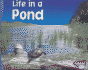 Life in a Pond (Pebble Plus)