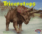 Triceratops