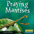 Praying Mantises (World of Insects)