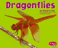 Dragonflies (Bugs, Bugs, Bugs! )