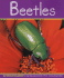 Beetles (Insects)