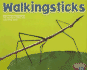 Walkingsticks