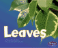 Leaves (Pebble Plus)
