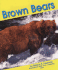 Brown Bears