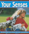 Your Senses