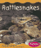 Rattlesnakes