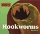 Hookworms (Parasites)