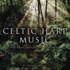 Celtic Harp Music: for Peace, Reflection & Dreaming