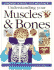 Understanding Your Muscles and Bones (Usborne Science for Beginners)