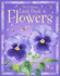 The Usborne Little Book of Flowers. Laura Howell