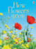 How Flowers Grow (Usborne Beginners) (Beginners Series)