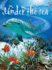 Under the Sea (Usborne Beginners) (Beginners Series)