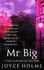 Mr Big