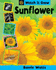 Sunflower (Watch It Grow)