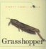 Grasshopper (Creepy Crawly)