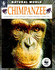Chimpanzee (Natural World)