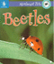 Beetles (Minibeast Pets)