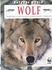 Wolf (Natural World)