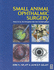 Small Animal Ophthalmic Surgery: a Practical Guide for the Practising Veterinarian