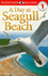 Eyewitness Readers Level 1: a Day at Seagull Beach