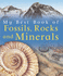 My Best Book of Fossils, Rocks and Minerals (My Best Book of...) (My Best Book of...)