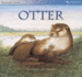 Otter (Animal Lives)