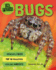 In Focus: Bugs