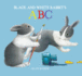 Black and White Rabbit's Abc (Little Rabbit Books)