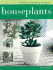 Caring for Your Houseplants (Practical Handbook)