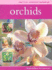 Orchids (Practical Gardening Handbook)