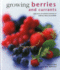 Growing Berries and Currants: A Directory of Varieties and How to Cultivate Them Successfully