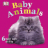 Baby Animals