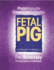 Photo Manual & Dissection Guide of the Fetal Pig