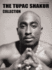 Tupac Shakur: Thug Angel [Dvd] [2004]
