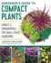 Gardener's Guide to Compact Plants: Scaled-Down Edibles and Ornamentals Offer Small-Space Solutions